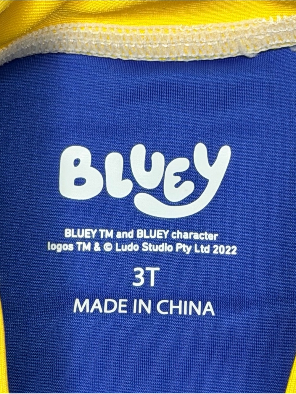 Bluey Swim Trunks And Rashguard‎ Set - Picture 3 of 4